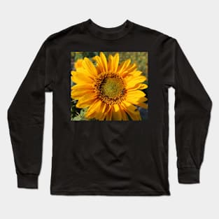 Bee on Sunflower Long Sleeve T-Shirt